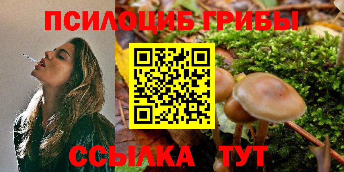 Галлюциногенные грибы мухоморы  Вход с VPN  Зеленокумск 